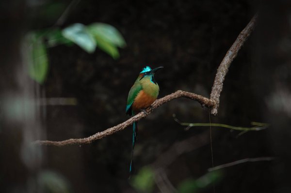 les dernières actualités automobiles du mois